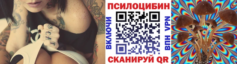 blacksprut как зайти  Арсеньев  Псилоцибиновые грибы прущие грибы  закладки 